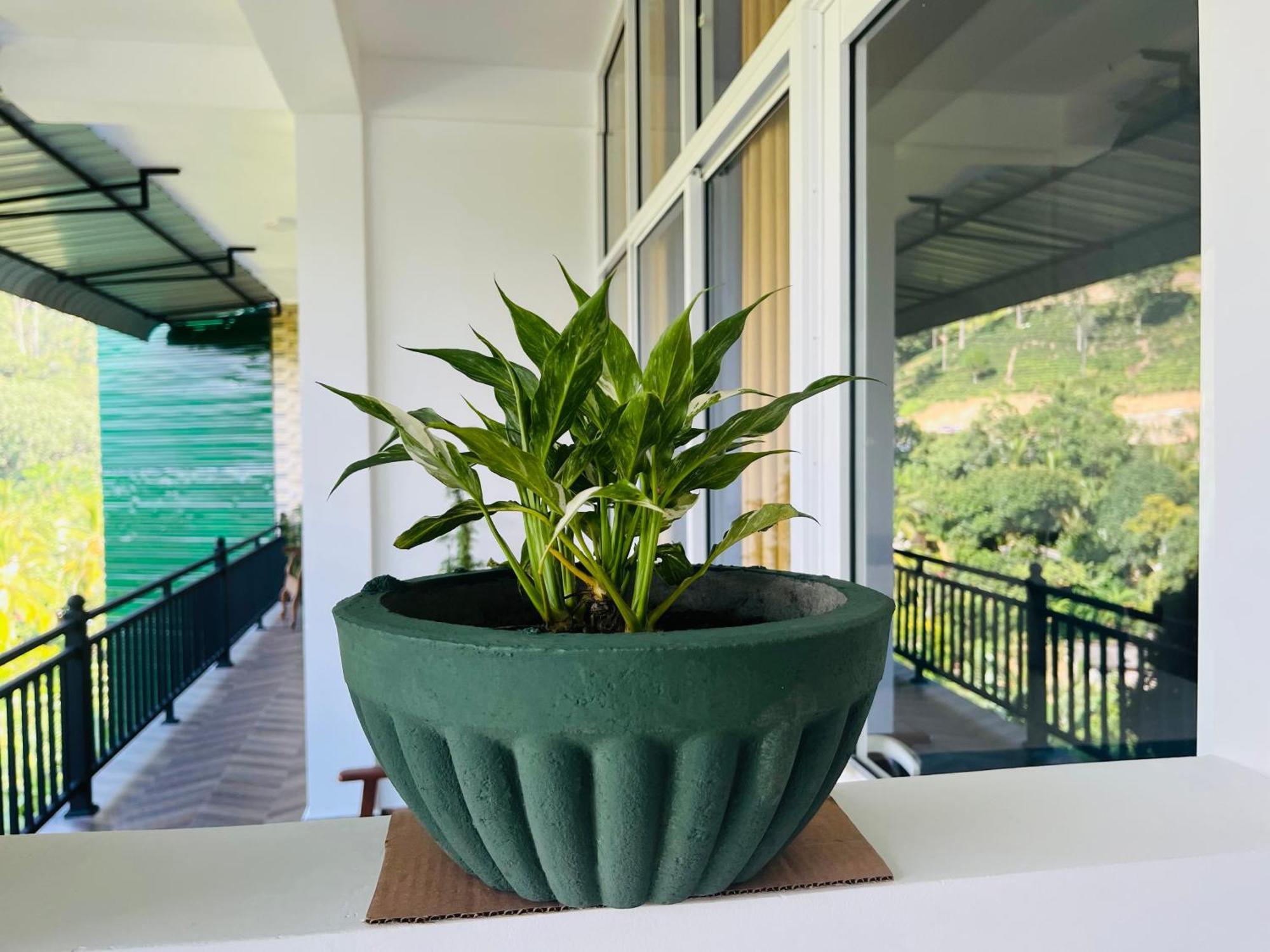 Viyanga Homestay Ella Zewnętrze zdjęcie