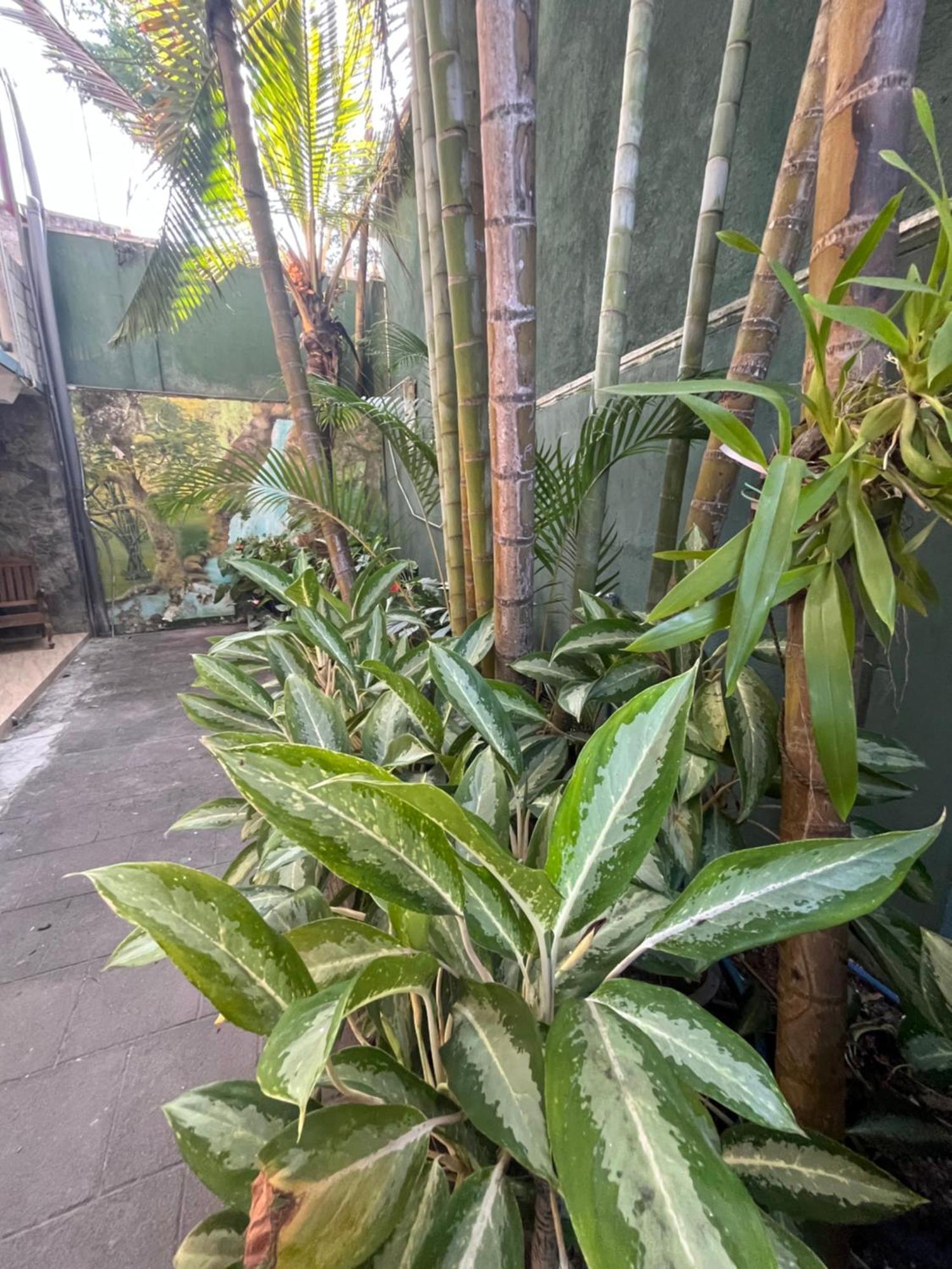 Viyanga Homestay Ella Zewnętrze zdjęcie